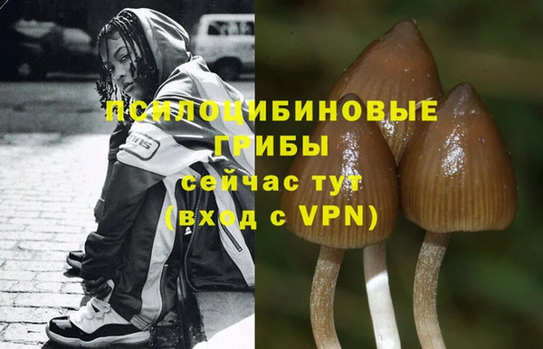 прущие крисы Абдулино